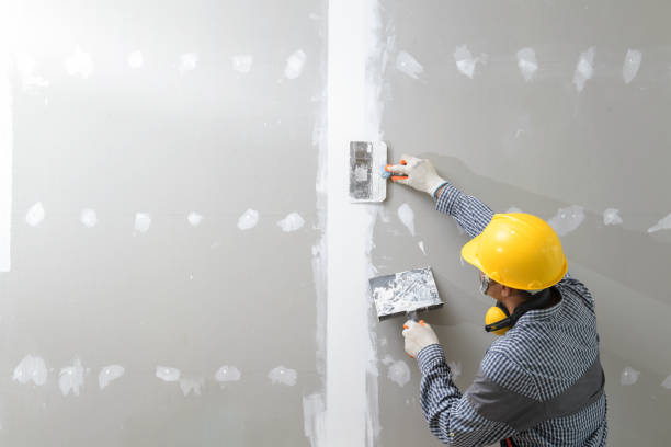 Best Airborne Mold Testing  in Plumas Lake, CA